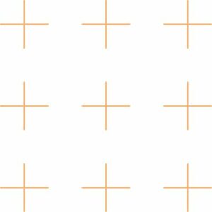 Hintergrundbild-mit-orange--300x300.